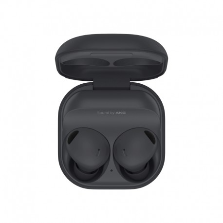 Samsung Galaxy Buds2 Pro Graphite