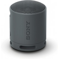 Sony Bluetooth Speaker SRS-XB100 Black