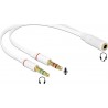 DELOCK Αντάπτορας από 3.5mm 4-pin jack σε 2x 3.5m 3-pin jack (65585)